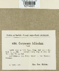 Image Associated With the Occurrence