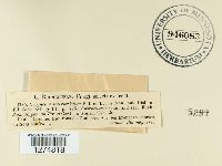 Image Associated With the Occurrence