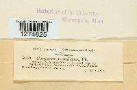 Image Associated With the Occurrence