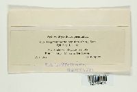 Cryptosphaeria ligniota image