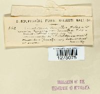 Image Associated With the Occurrence