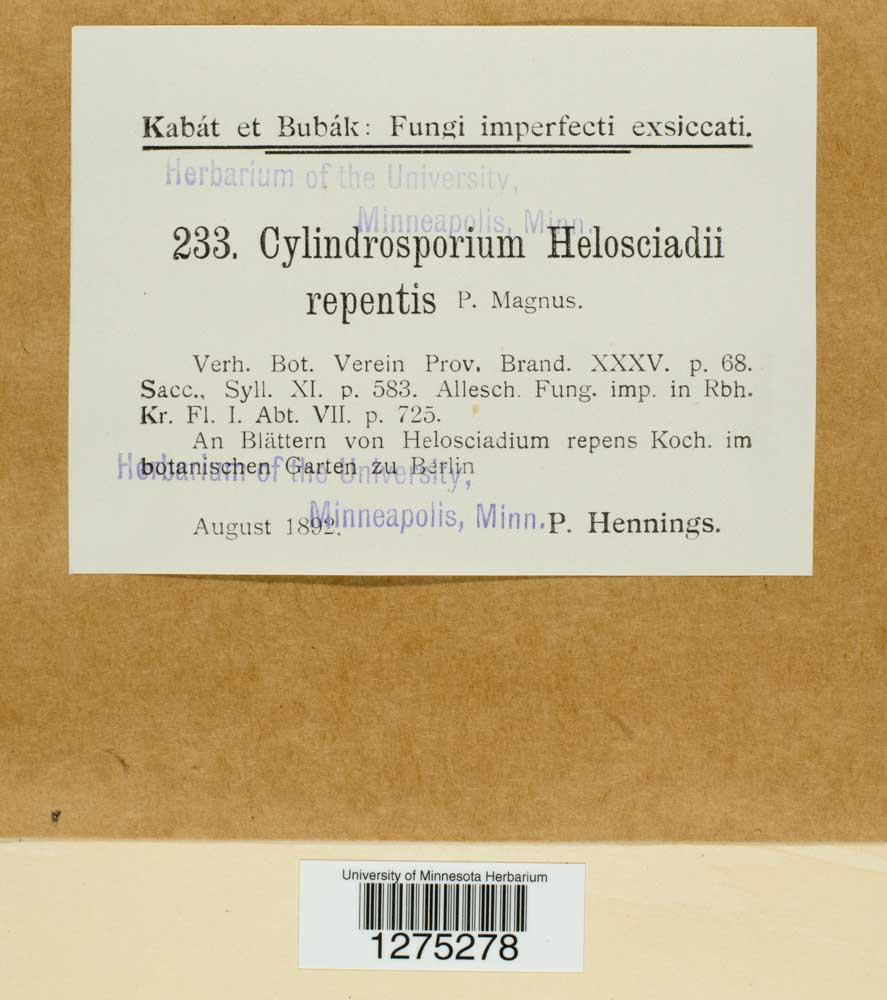 Cylindrosporium helioscladii-repentis image