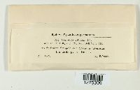 Image Associated With the Occurrence