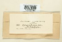 Image Associated With the Occurrence