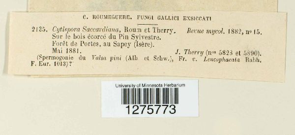 Cytospora saccardiana image
