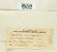 Image Associated With the Occurrence