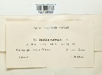 Image Associated With the Occurrence