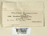 Image Associated With the Occurrence