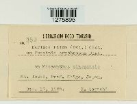 Eudarluca caricis image