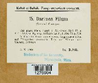 Eudarluca caricis image