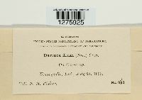 Eudarluca caricis image