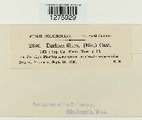 Eudarluca caricis image