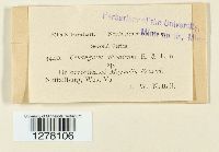 Media resource of Cenangium alboatrum