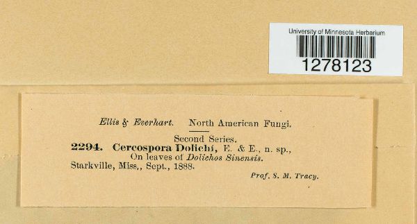 Cercospora dolichi image