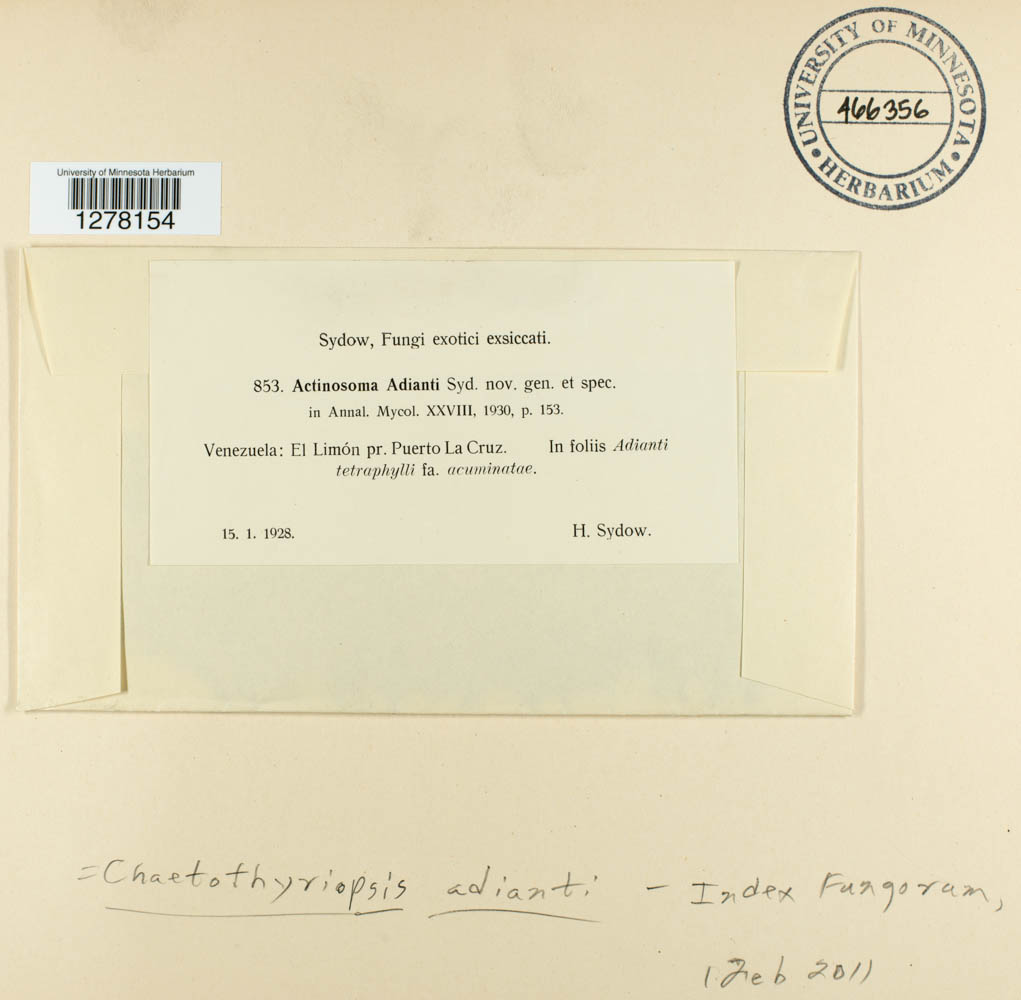 Microthyriaceae image