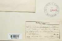 Image Associated With the Occurrence