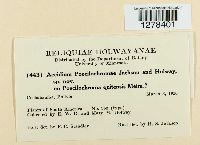 Image Associated With the Occurrence