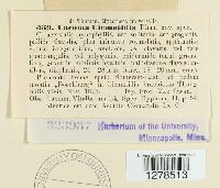 Caeoma clematidis image