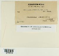 Image Associated With the Occurence