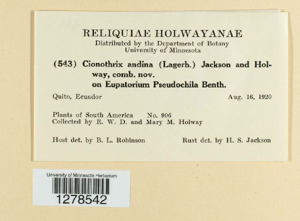 Chardoniella andina image