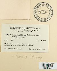 thumbnail image of current specimen