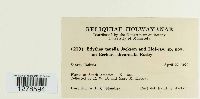 thumbnail image of current specimen