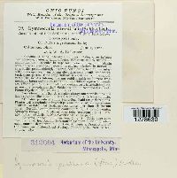 Arthuriomyces peckianus image