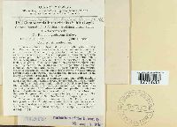 Arthuriomyces peckianus image