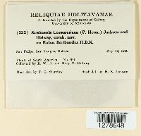 Kuehneola loeseneriana image