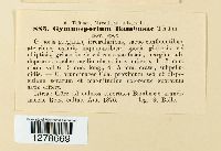 Image Associated With the Occurrence