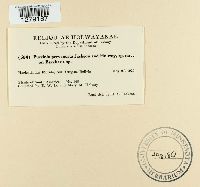 Image Associated With the Occurrence