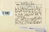 Puccinia psidii image