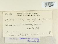 Image Associated With the Occurrence