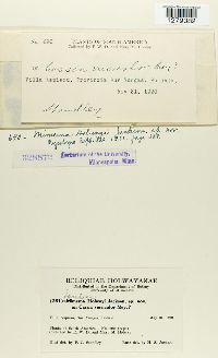 Image Associated With the Occurrence