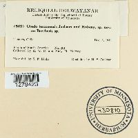 Image Associated With the Occurrence