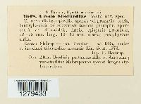 Image Associated With the Occurrence