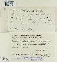 Image Associated With the Occurrence