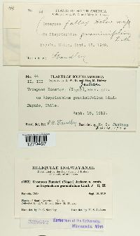 Image Associated With the Occurrence