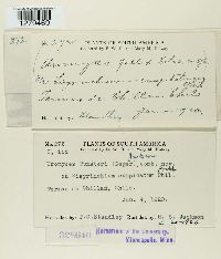 Image Associated With the Occurrence