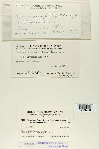 Image Associated With the Occurrence