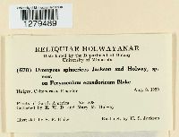 Image Associated With the Occurrence