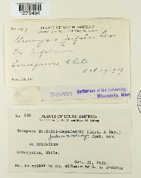 Image Associated With the Occurrence