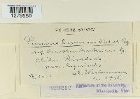 Image Associated With the Occurrence