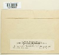 Image Associated With the Occurrence