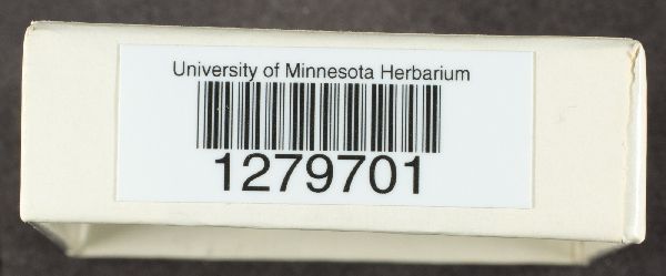 Lepiota rubrotincta image