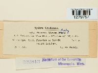 Image Associated With the Occurrence