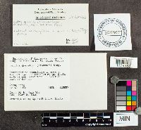 thumbnail image of current specimen