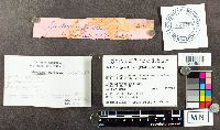 thumbnail image of current specimen