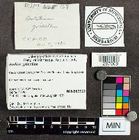 thumbnail image of current specimen