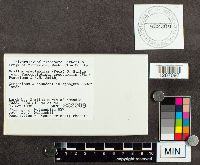 thumbnail image of current specimen